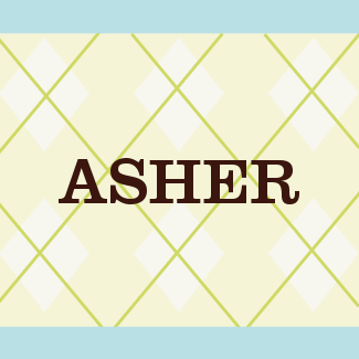 Asher Festival and Logo designer