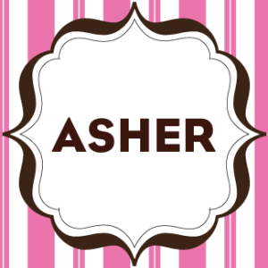 Asher2